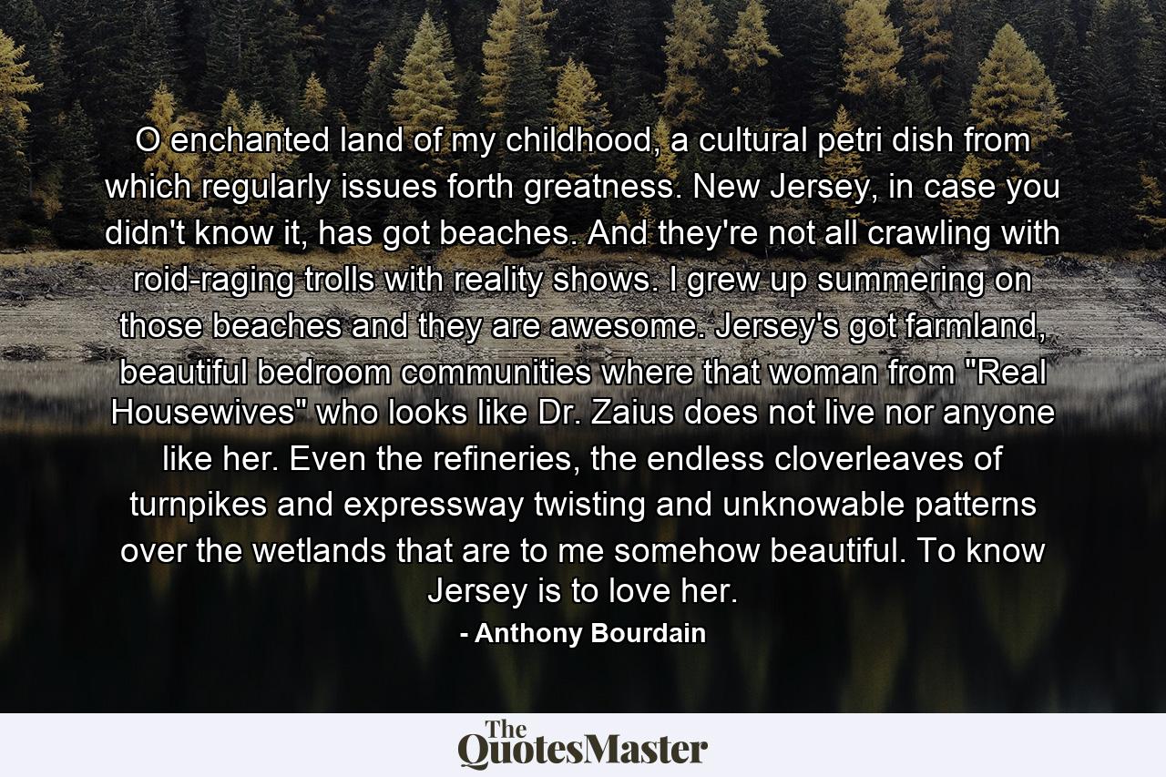 O enchanted land of my childhood, a cultural petri dish from which regularly issues forth greatness. New Jersey, in case you didn't know it, has got beaches. And they're not all crawling with roid-raging trolls with reality shows. I grew up summering on those beaches and they are awesome. Jersey's got farmland, beautiful bedroom communities where that woman from 