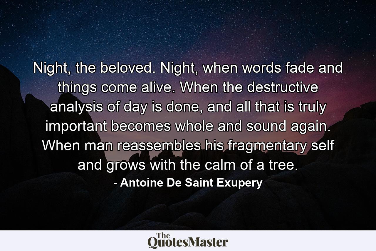 Night, the beloved. Night, when words fade and things come alive. When the destructive analysis of day is done, and all that is truly important becomes whole and sound again. When man reassembles his fragmentary self and grows with the calm of a tree. - Quote by Antoine De Saint Exupery