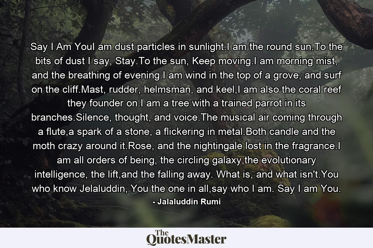 Say I Am YouI am dust particles in sunlight.I am the round sun.To the bits of dust I say, Stay.To the sun, Keep moving.I am morning mist, and the breathing of evening.I am wind in the top of a grove, and surf on the cliff.Mast, rudder, helmsman, and keel,I am also the coral reef they founder on.I am a tree with a trained parrot in its branches.Silence, thought, and voice.The musical air coming through a flute,a spark of a stone, a flickering in metal.Both candle and the moth crazy around it.Rose, and the nightingale lost in the fragrance.I am all orders of being, the circling galaxy,the evolutionary intelligence, the lift,and the falling away. What is, and what isn't.You who know Jelaluddin, You the one in all,say who I am. Say I am You. - Quote by Jalaluddin Rumi