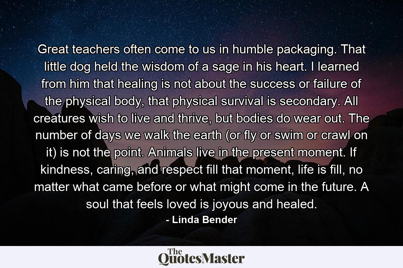 Great teachers often come to us in humble packaging. That little dog held the wisdom of a sage in his heart. I learned from him that healing is not about the success or failure of the physical body, that physical survival is secondary. All creatures wish to live and thrive, but bodies do wear out. The number of days we walk the earth (or fly or swim or crawl on it) is not the point. Animals live in the present moment. If kindness, caring, and respect fill that moment, life is fill, no matter what came before or what might come in the future. A soul that feels loved is joyous and healed. - Quote by Linda Bender