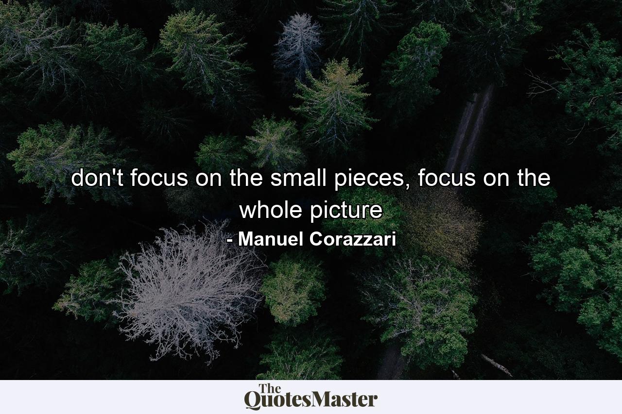 don't focus on the small pieces, focus on the whole picture - Quote by Manuel Corazzari