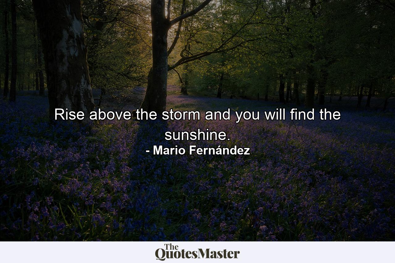 Rise above the storm and you will find the sunshine. - Quote by Mario Fernández