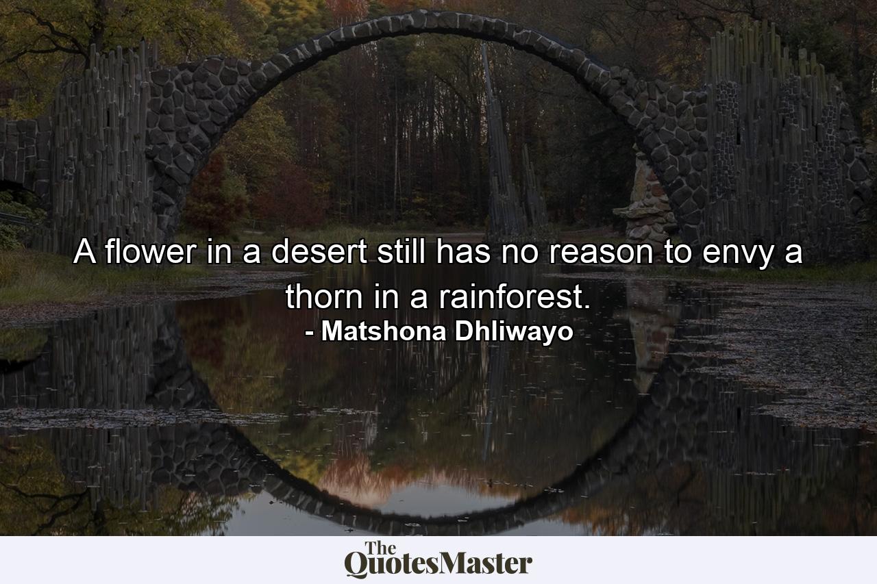 A flower in a desert still has no reason to envy a thorn in a rainforest. - Quote by Matshona Dhliwayo