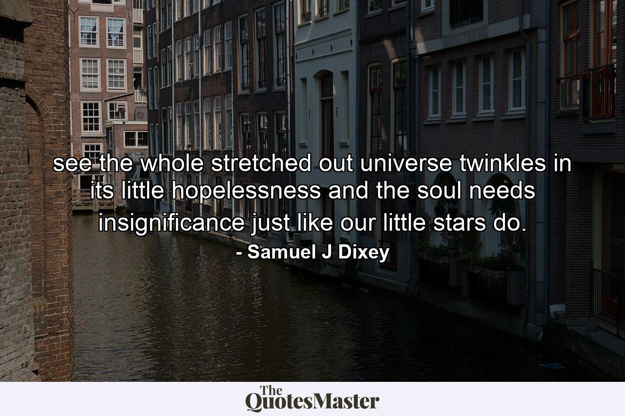 see the whole stretched out universe twinkles in its little hopelessness and the soul needs insignificance just like our little stars do. - Quote by Samuel J Dixey