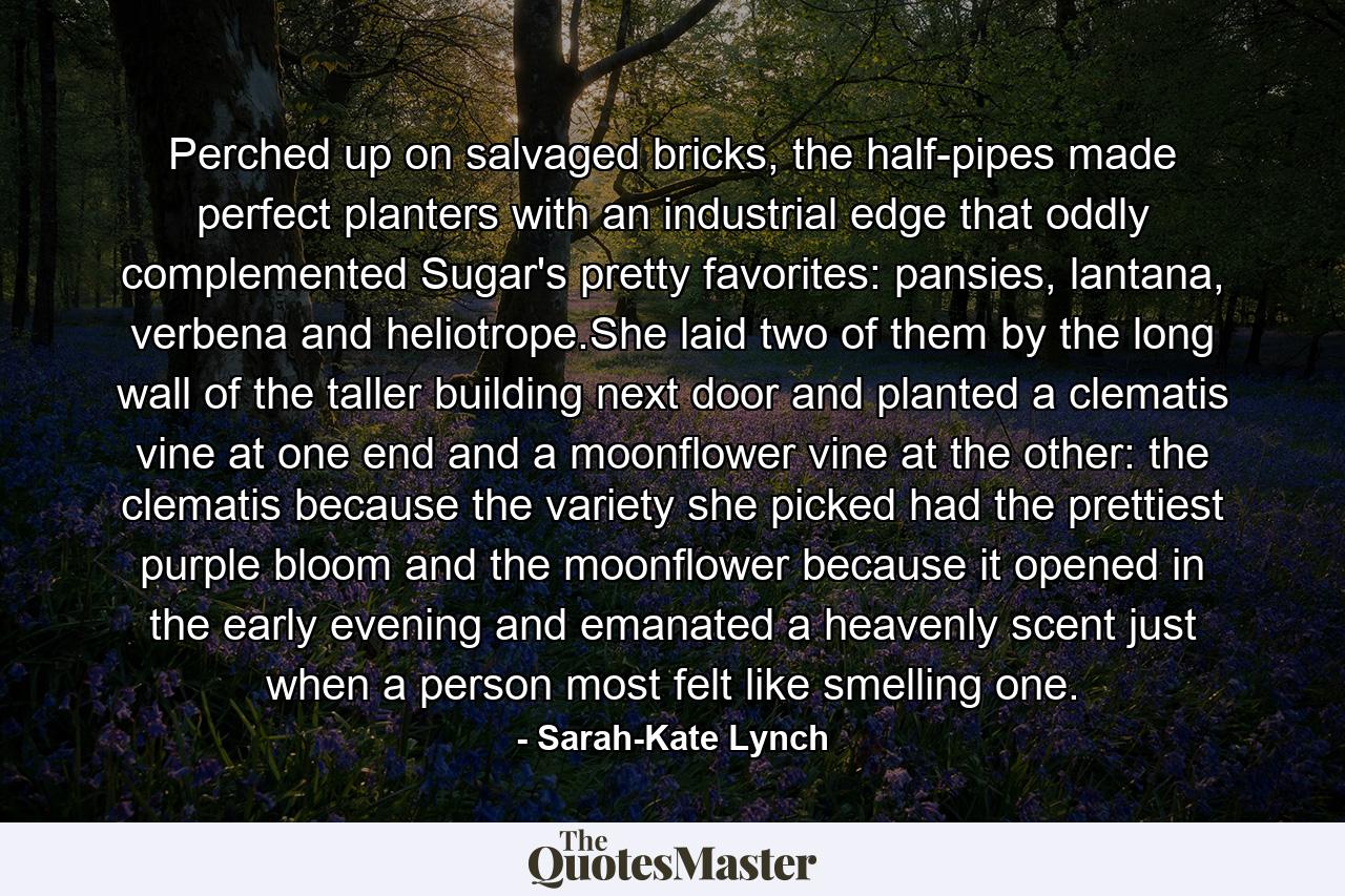 Perched up on salvaged bricks, the half-pipes made perfect planters with an industrial edge that oddly complemented Sugar's pretty favorites: pansies, lantana, verbena and heliotrope.She laid two of them by the long wall of the taller building next door and planted a clematis vine at one end and a moonflower vine at the other: the clematis because the variety she picked had the prettiest purple bloom and the moonflower because it opened in the early evening and emanated a heavenly scent just when a person most felt like smelling one. - Quote by Sarah-Kate Lynch