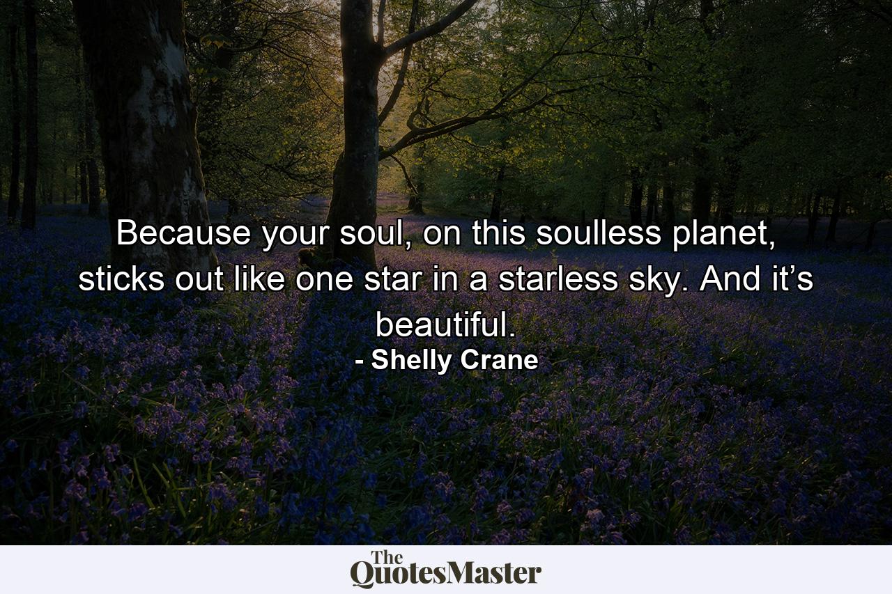 Because your soul, on this soulless planet, sticks out like one star in a starless sky. And it’s beautiful. - Quote by Shelly Crane