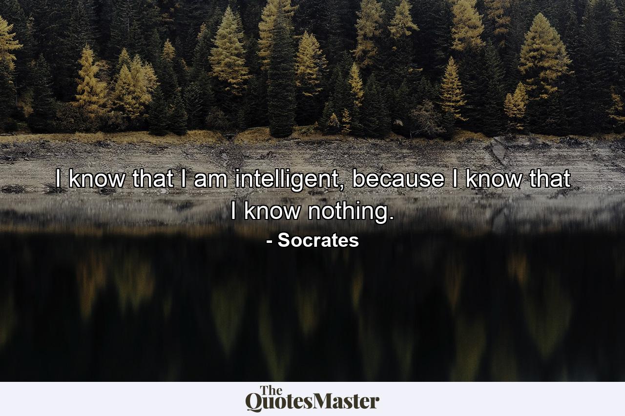 I know that I am intelligent, because I know that I know nothing. - Quote by Socrates