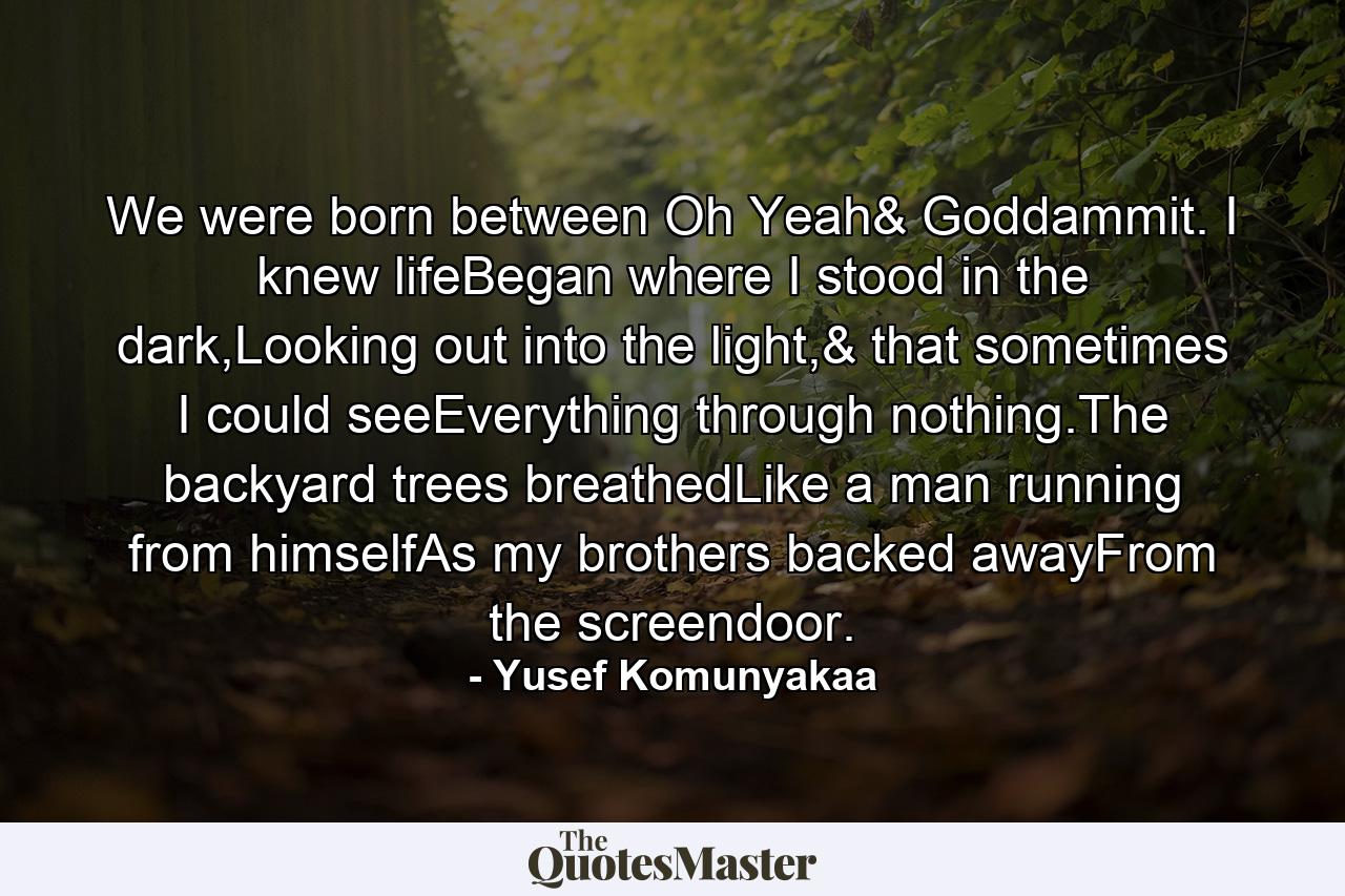 We were born between Oh Yeah& Goddammit. I knew lifeBegan where I stood in the dark,Looking out into the light,& that sometimes I could seeEverything through nothing.The backyard trees breathedLike a man running from himselfAs my brothers backed awayFrom the screendoor. - Quote by Yusef Komunyakaa