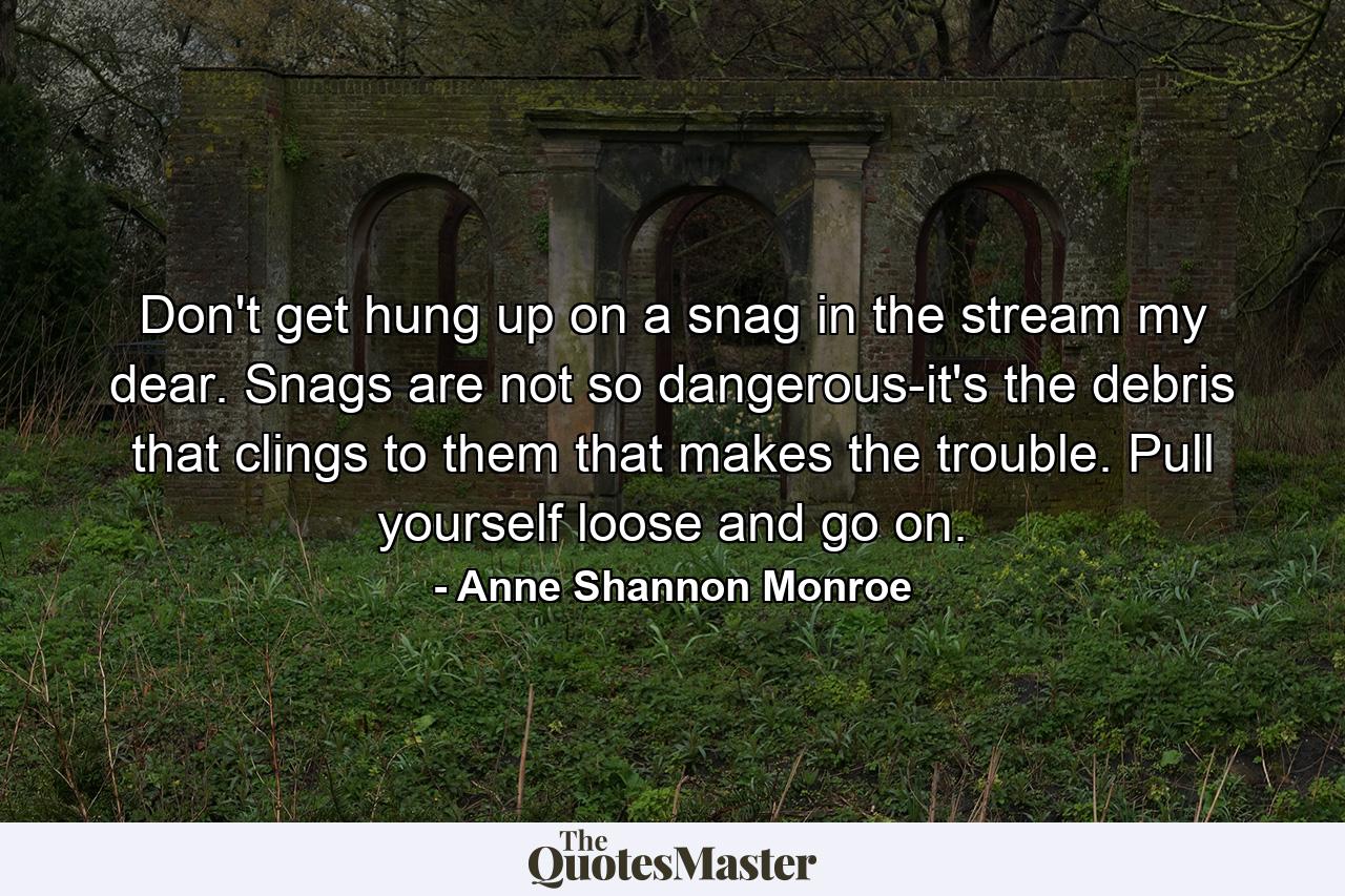 Don't get hung up on a snag in the stream  my dear. Snags are not so dangerous-it's the debris that clings to them that makes the trouble. Pull yourself loose and go on. - Quote by Anne Shannon Monroe