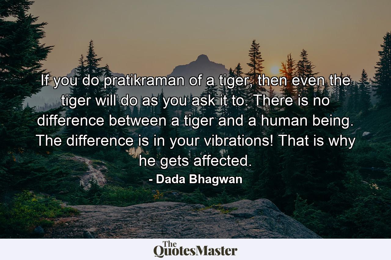 If you do pratikraman of a tiger, then even the tiger will do as you ask it to. There is no difference between a tiger and a human being. The difference is in your vibrations! That is why he gets affected. - Quote by Dada Bhagwan