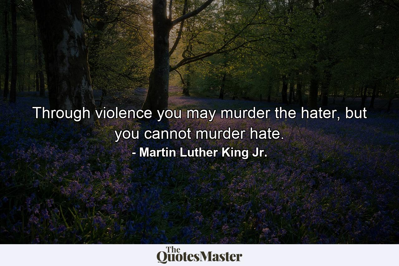 Through violence you may murder the hater, but you cannot murder hate. - Quote by Martin Luther King Jr.