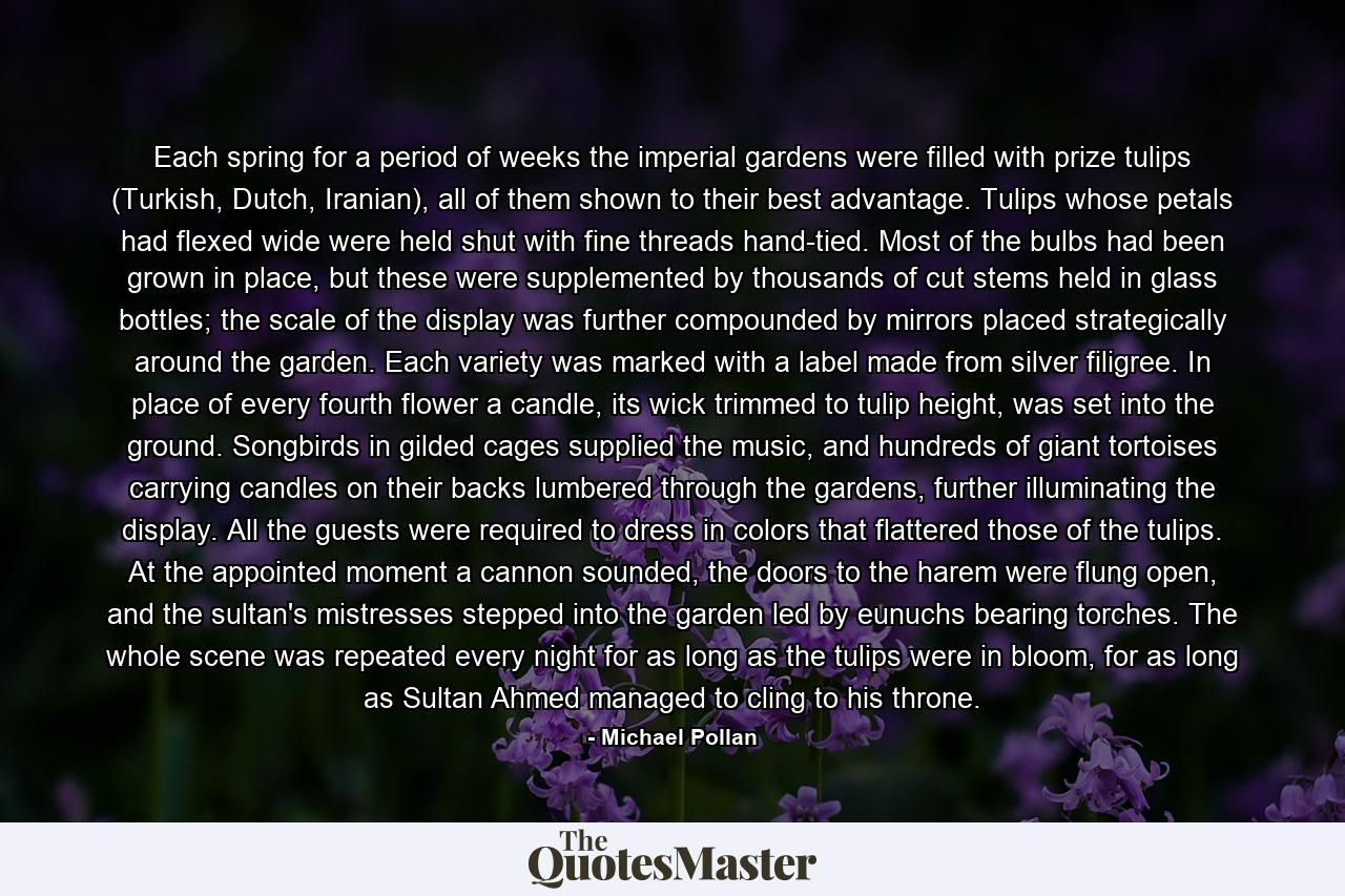 Each spring for a period of weeks the imperial gardens were filled with prize tulips (Turkish, Dutch, Iranian), all of them shown to their best advantage. Tulips whose petals had flexed wide were held shut with fine threads hand-tied. Most of the bulbs had been grown in place, but these were supplemented by thousands of cut stems held in glass bottles; the scale of the display was further compounded by mirrors placed strategically around the garden. Each variety was marked with a label made from silver filigree. In place of every fourth flower a candle, its wick trimmed to tulip height, was set into the ground. Songbirds in gilded cages supplied the music, and hundreds of giant tortoises carrying candles on their backs lumbered through the gardens, further illuminating the display. All the guests were required to dress in colors that flattered those of the tulips. At the appointed moment a cannon sounded, the doors to the harem were flung open, and the sultan's mistresses stepped into the garden led by eunuchs bearing torches. The whole scene was repeated every night for as long as the tulips were in bloom, for as long as Sultan Ahmed managed to cling to his throne. - Quote by Michael Pollan