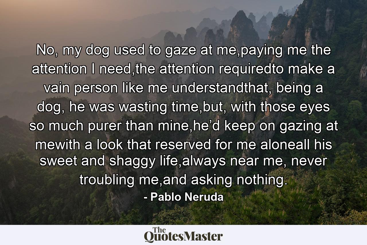 No, my dog used to gaze at me,paying me the attention I need,the attention requiredto make a vain person like me understandthat, being a dog, he was wasting time,but, with those eyes so much purer than mine,he’d keep on gazing at mewith a look that reserved for me aloneall his sweet and shaggy life,always near me, never troubling me,and asking nothing. - Quote by Pablo Neruda