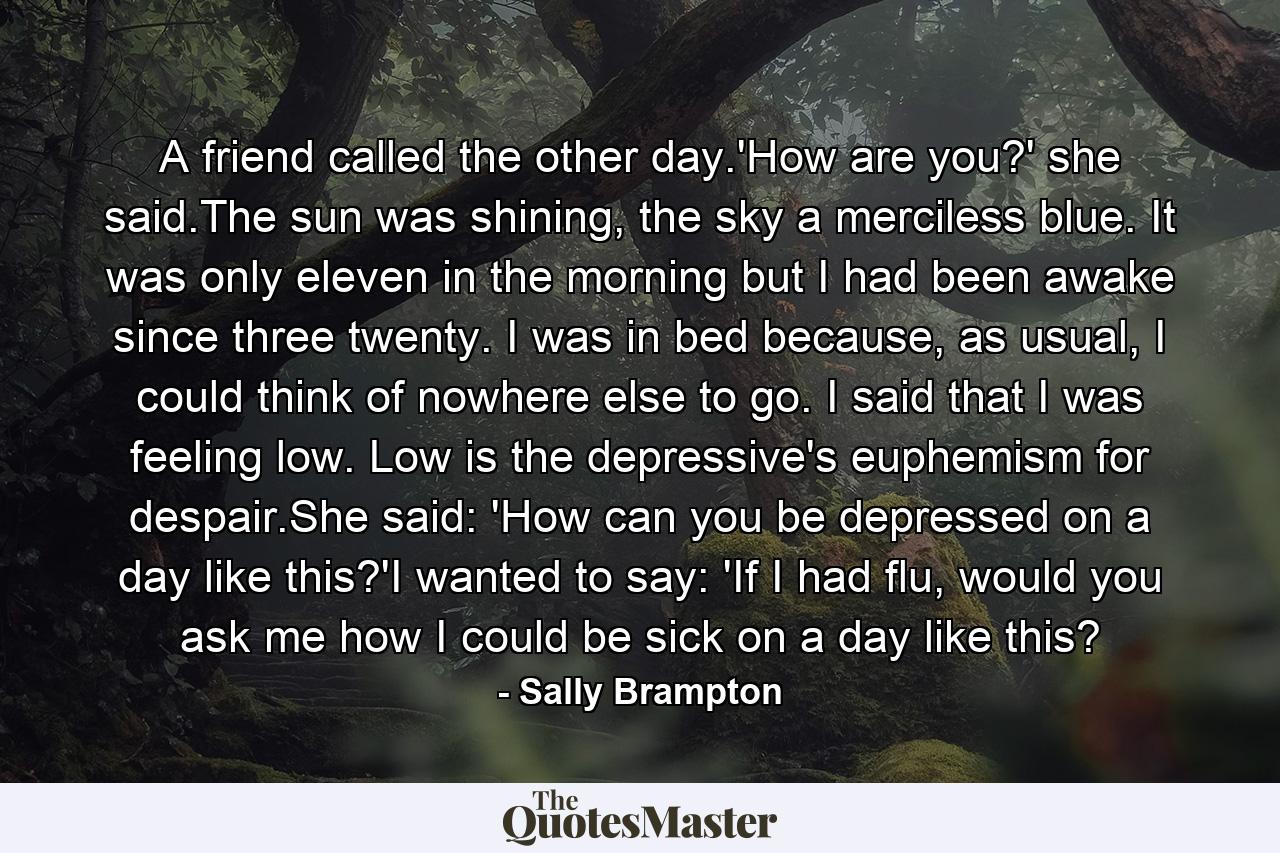 A friend called the other day.'How are you?' she said.The sun was shining, the sky a merciless blue. It was only eleven in the morning but I had been awake since three twenty. I was in bed because, as usual, I could think of nowhere else to go. I said that I was feeling low. Low is the depressive's euphemism for despair.She said: 'How can you be depressed on a day like this?'I wanted to say: 'If I had flu, would you ask me how I could be sick on a day like this? - Quote by Sally Brampton