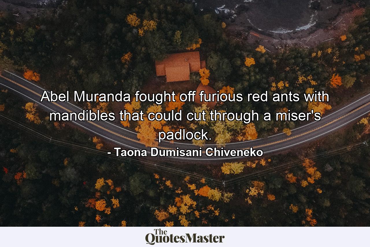 Abel Muranda fought off furious red ants with mandibles that could cut through a miser's padlock. - Quote by Taona Dumisani Chiveneko