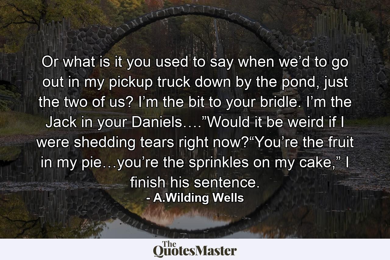 Or what is it you used to say when we’d to go out in my pickup truck down by the pond, just the two of us? I’m the bit to your bridle. I’m the Jack in your Daniels….”Would it be weird if I were shedding tears right now?“You’re the fruit in my pie…you’re the sprinkles on my cake,” I finish his sentence. - Quote by A.Wilding Wells