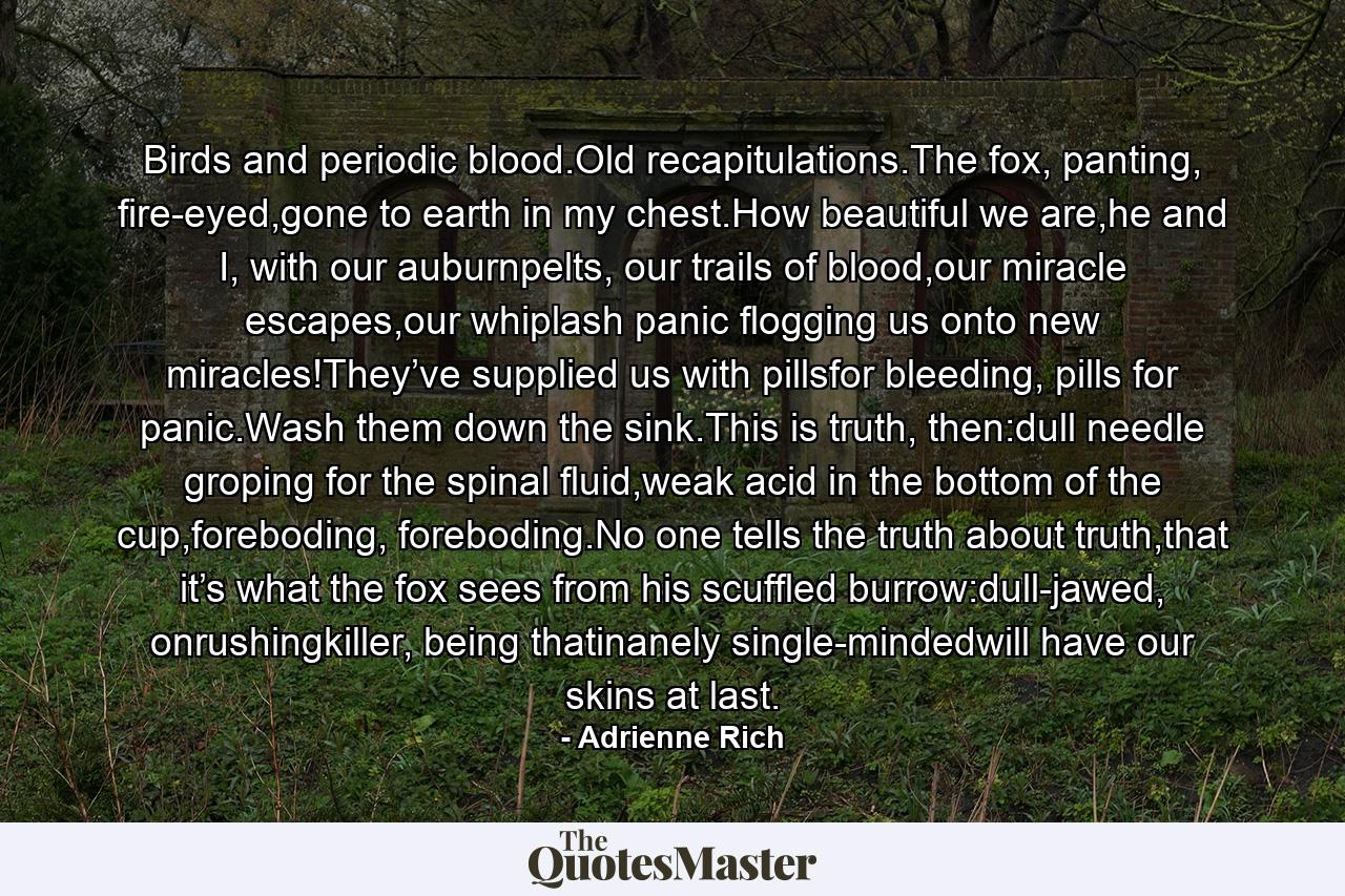 Birds and periodic blood.Old recapitulations.The fox, panting, fire-eyed,gone to earth in my chest.How beautiful we are,he and I, with our auburnpelts, our trails of blood,our miracle escapes,our whiplash panic flogging us onto new miracles!They’ve supplied us with pillsfor bleeding, pills for panic.Wash them down the sink.This is truth, then:dull needle groping for the spinal fluid,weak acid in the bottom of the cup,foreboding, foreboding.No one tells the truth about truth,that it’s what the fox sees from his scuffled burrow:dull-jawed, onrushingkiller, being thatinanely single-mindedwill have our skins at last. - Quote by Adrienne Rich