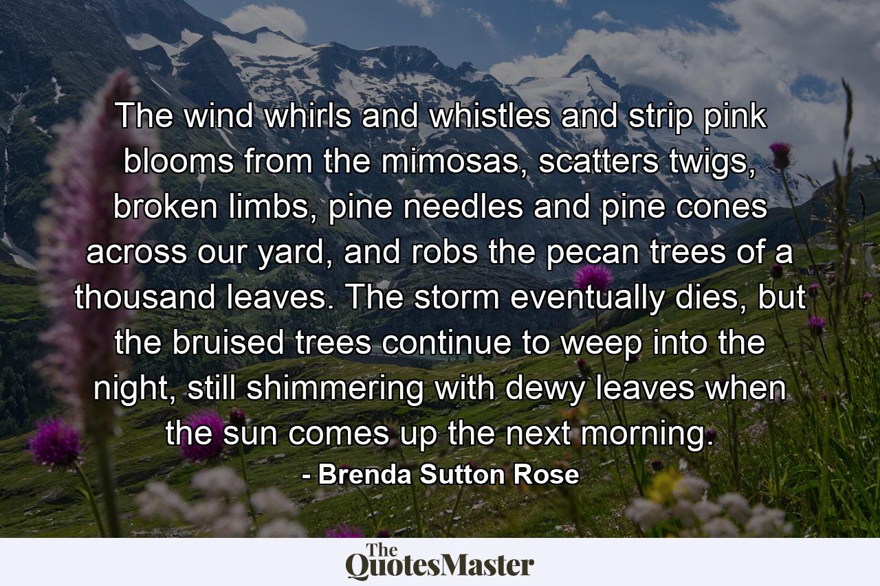 The wind whirls and whistles and strip pink blooms from the mimosas, scatters twigs, broken limbs, pine needles and pine cones across our yard, and robs the pecan trees of a thousand leaves. The storm eventually dies, but the bruised trees continue to weep into the night, still shimmering with dewy leaves when the sun comes up the next morning. - Quote by Brenda Sutton Rose