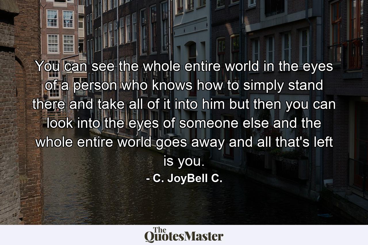 You can see the whole entire world in the eyes of a person who knows how to simply stand there and take all of it into him but then you can look into the eyes of someone else and the whole entire world goes away and all that's left is you. - Quote by C. JoyBell C.