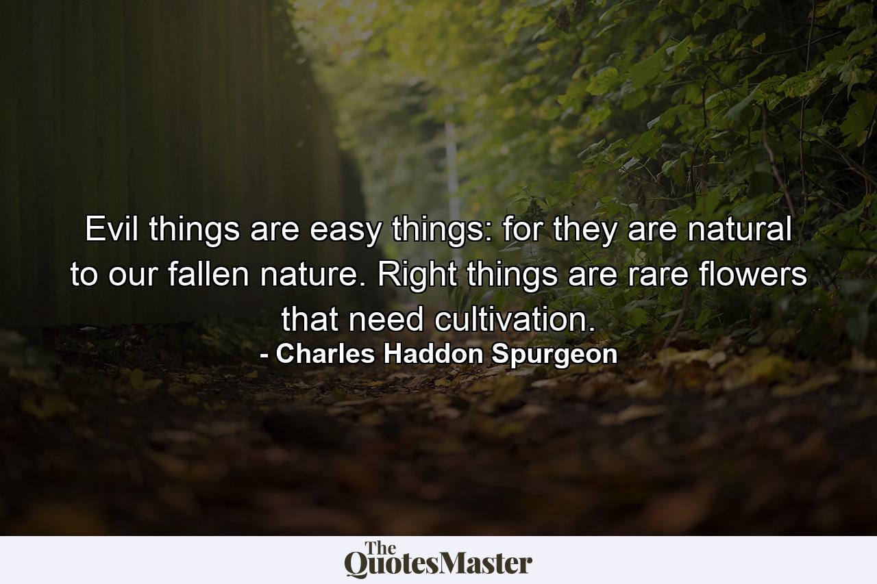 Evil things are easy things: for they are natural to our fallen nature. Right things are rare flowers that need cultivation. - Quote by Charles Haddon Spurgeon