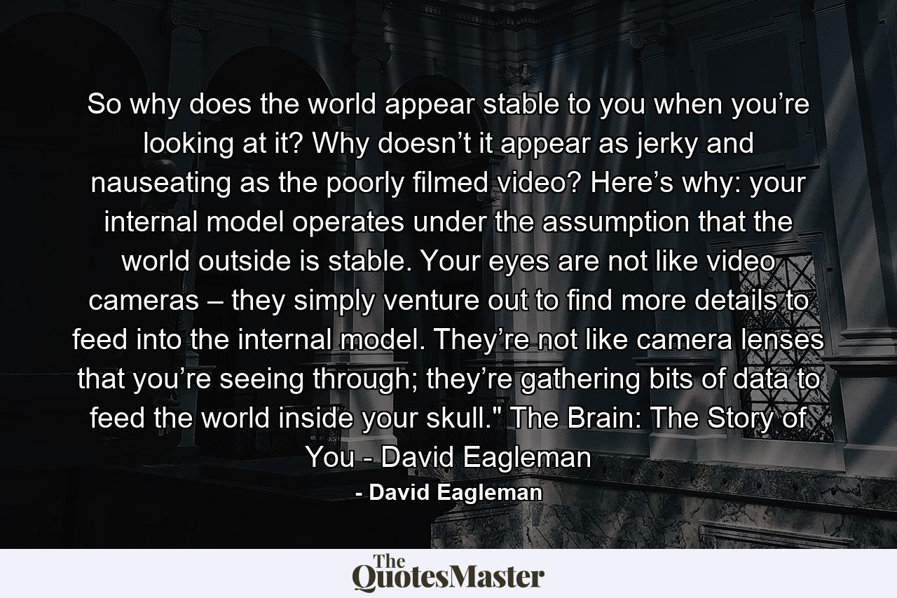 So why does the world appear stable to you when you’re looking at it? Why doesn’t it appear as jerky and nauseating as the poorly filmed video? Here’s why: your internal model operates under the assumption that the world outside is stable. Your eyes are not like video cameras – they simply venture out to find more details to feed into the internal model. They’re not like camera lenses that you’re seeing through; they’re gathering bits of data to feed the world inside your skull.