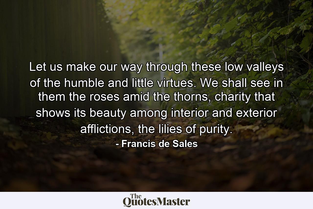 Let us make our way through these low valleys of the humble and little virtues. We shall see in them the roses amid the thorns, charity that shows its beauty among interior and exterior afflictions, the lilies of purity. - Quote by Francis de Sales