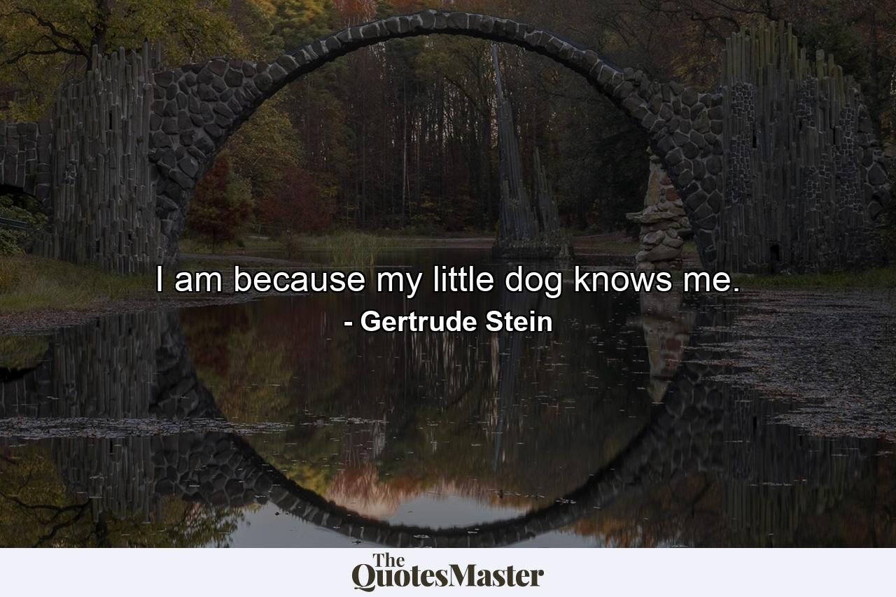 I am because my little dog knows me. - Quote by Gertrude Stein