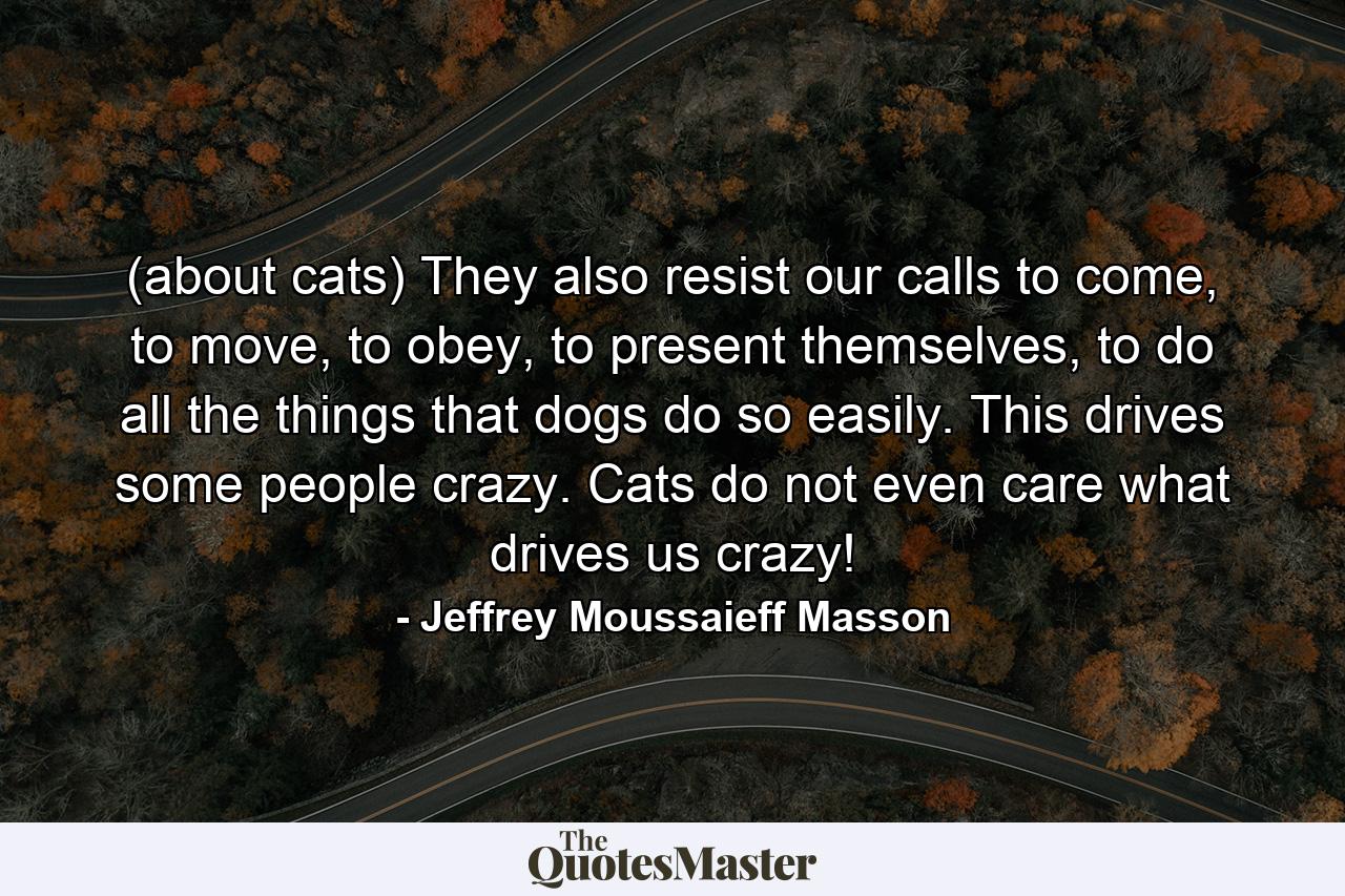 (about cats) They also resist our calls to come, to move, to obey, to present themselves, to do all the things that dogs do so easily. This drives some people crazy. Cats do not even care what drives us crazy! - Quote by Jeffrey Moussaieff Masson