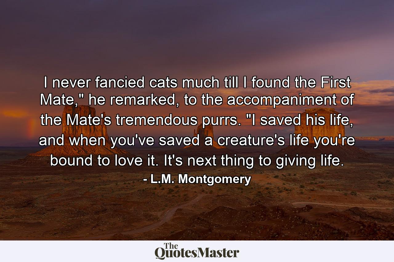 I never fancied cats much till I found the First Mate,