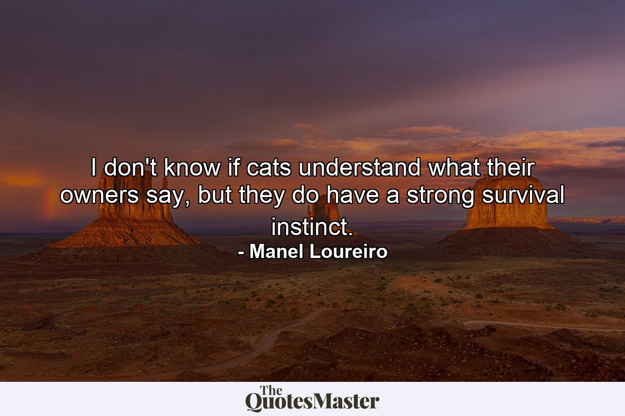 I don't know if cats understand what their owners say, but they do have a strong survival instinct. - Quote by Manel Loureiro