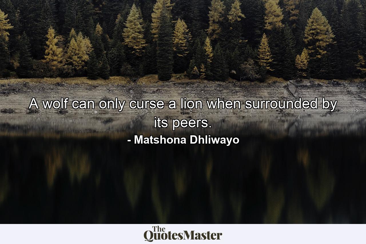 A wolf can only curse a lion when surrounded by its peers. - Quote by Matshona Dhliwayo