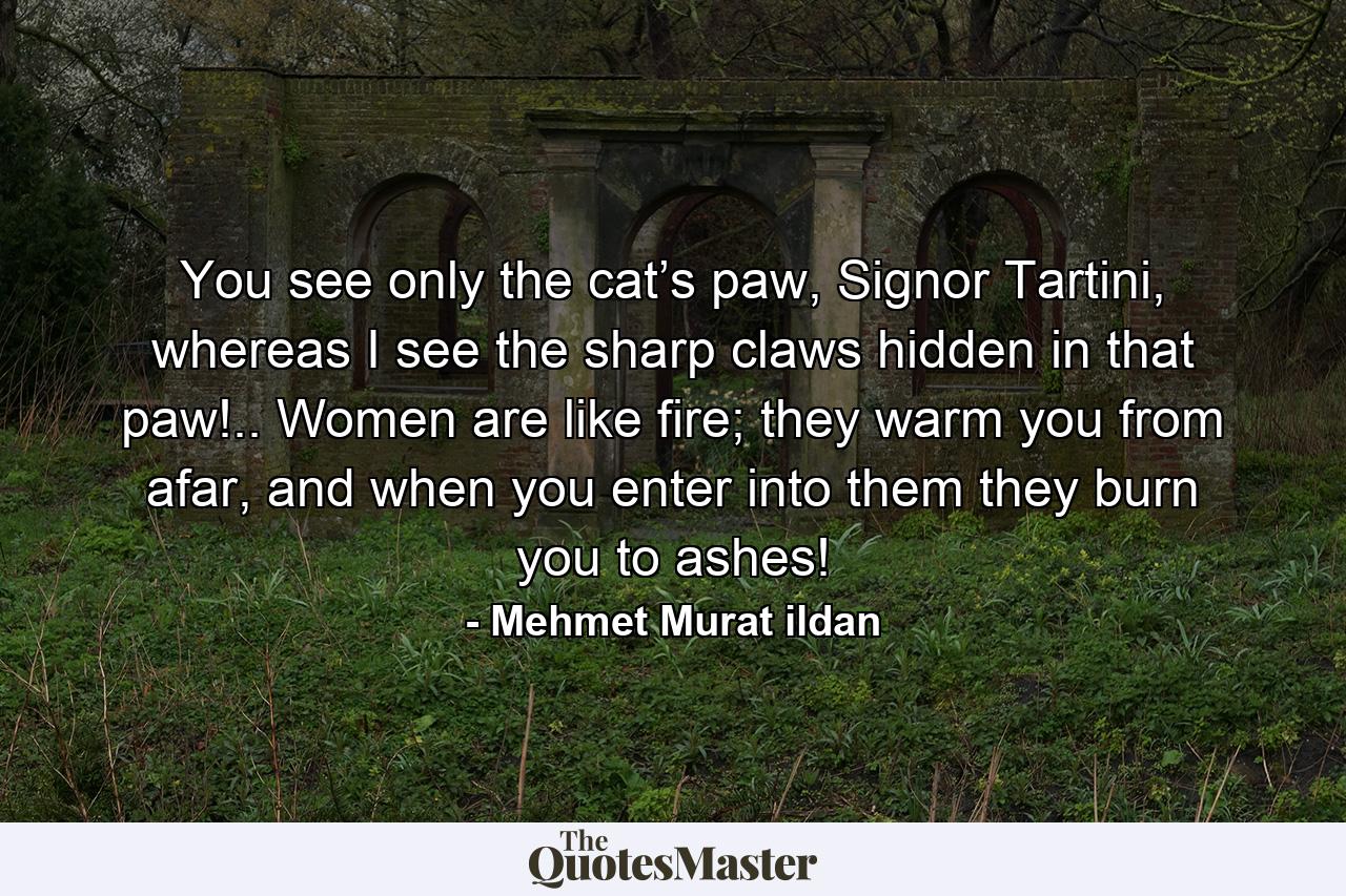 You see only the cat’s paw, Signor Tartini, whereas I see the sharp claws hidden in that paw!.. Women are like fire; they warm you from afar, and when you enter into them they burn you to ashes! - Quote by Mehmet Murat ildan