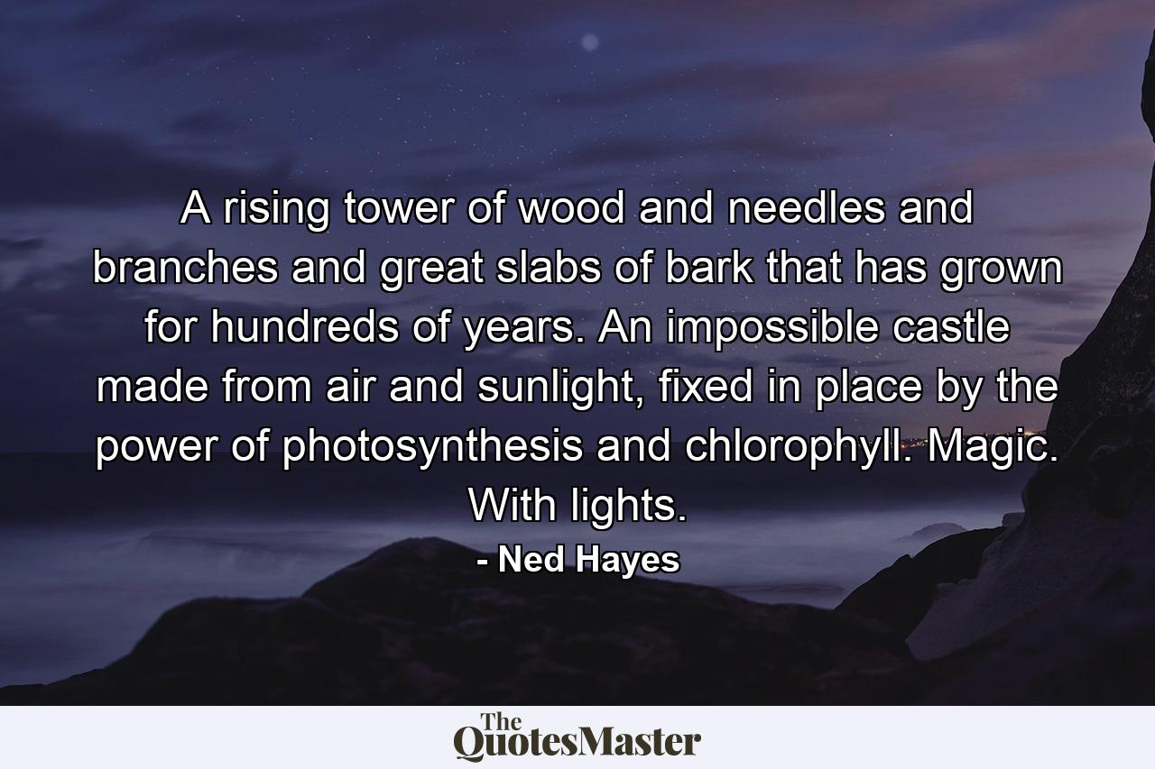 A rising tower of wood and needles and branches and great slabs of bark that has grown for hundreds of years. An impossible castle made from air and sunlight, fixed in place by the power of photosynthesis and chlorophyll. Magic. With lights. - Quote by Ned Hayes