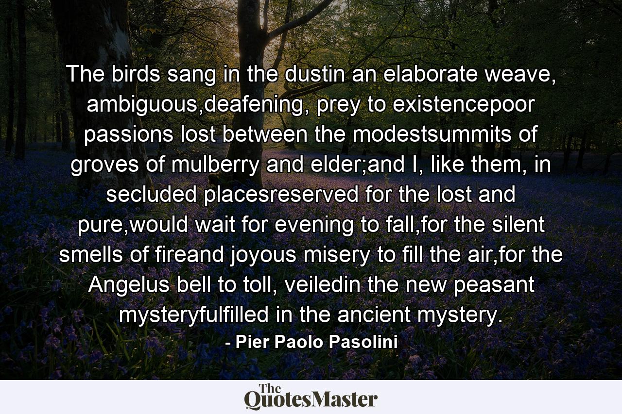 The birds sang in the dustin an elaborate weave, ambiguous,deafening, prey to existencepoor passions lost between the modestsummits of groves of mulberry and elder;and I, like them, in secluded placesreserved for the lost and pure,would wait for evening to fall,for the silent smells of fireand joyous misery to fill the air,for the Angelus bell to toll, veiledin the new peasant mysteryfulfilled in the ancient mystery. - Quote by Pier Paolo Pasolini