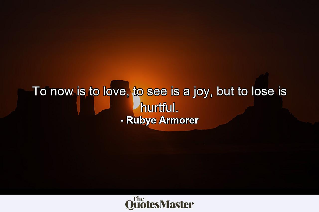 To now is to love, to see is a joy, but to lose is hurtful. - Quote by Rubye Armorer