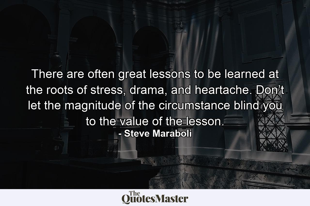 There are often great lessons to be learned at the roots of stress, drama, and heartache. Don’t let the magnitude of the circumstance blind you to the value of the lesson. - Quote by Steve Maraboli