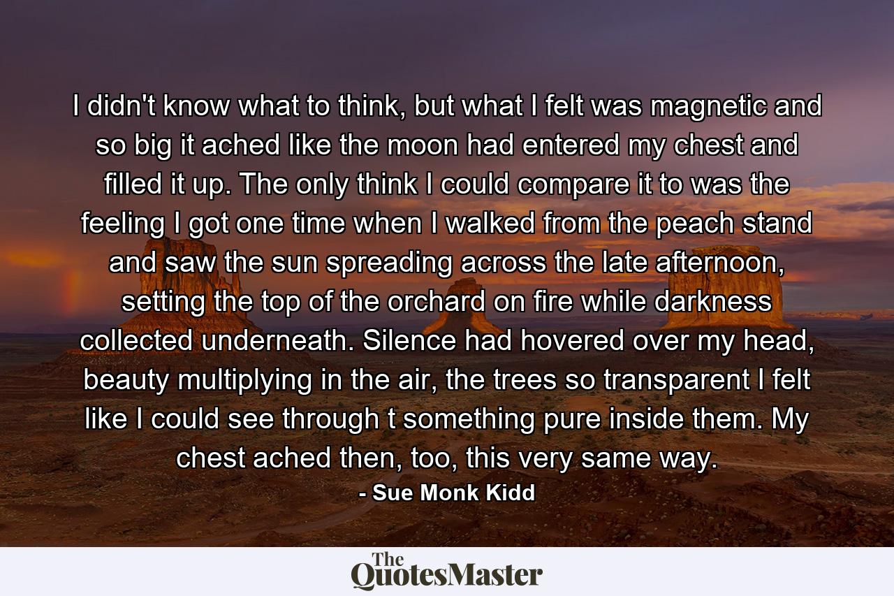 I didn't know what to think, but what I felt was magnetic and so big it ached like the moon had entered my chest and filled it up. The only think I could compare it to was the feeling I got one time when I walked from the peach stand and saw the sun spreading across the late afternoon, setting the top of the orchard on fire while darkness collected underneath. Silence had hovered over my head, beauty multiplying in the air, the trees so transparent I felt like I could see through t something pure inside them. My chest ached then, too, this very same way. - Quote by Sue Monk Kidd