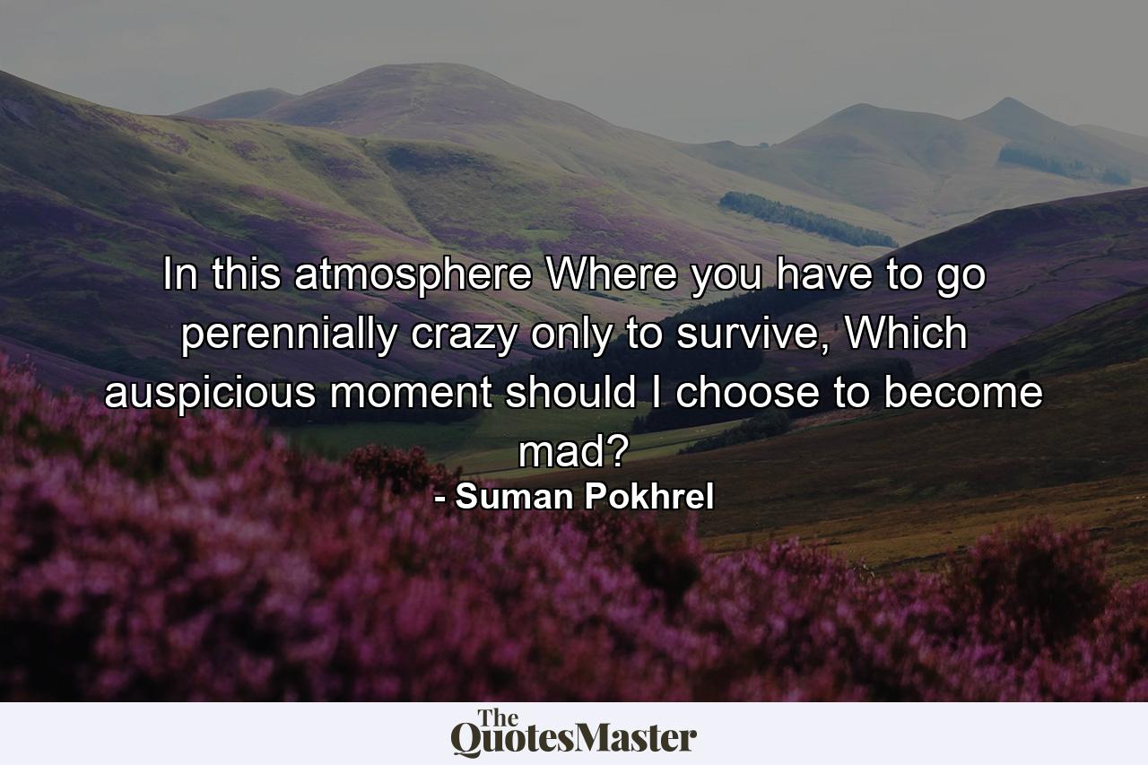 In this atmosphere Where you have to go perennially crazy only to survive, Which auspicious moment should I choose to become mad? - Quote by Suman Pokhrel