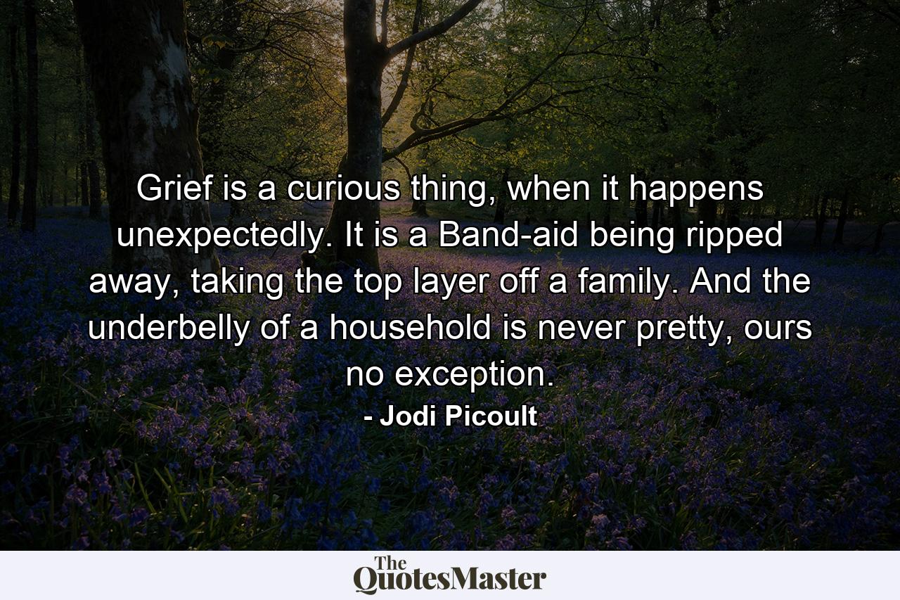 Grief is a curious thing, when it happens unexpectedly. It is a Band-aid being ripped away, taking the top layer off a family. And the underbelly of a household is never pretty, ours no exception. - Quote by Jodi Picoult