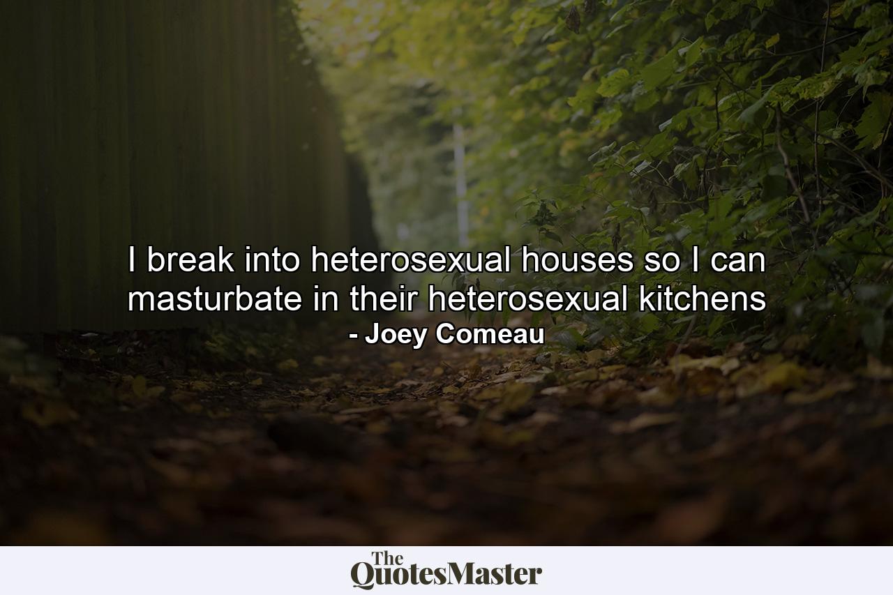 I break into heterosexual houses so I can masturbate in their heterosexual kitchens - Quote by Joey Comeau