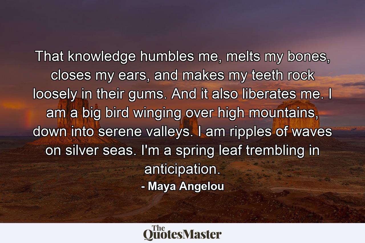 That knowledge humbles me, melts my bones, closes my ears, and makes my teeth rock loosely in their gums. And it also liberates me. I am a big bird winging over high mountains, down into serene valleys. I am ripples of waves on silver seas. I'm a spring leaf trembling in anticipation. - Quote by Maya Angelou