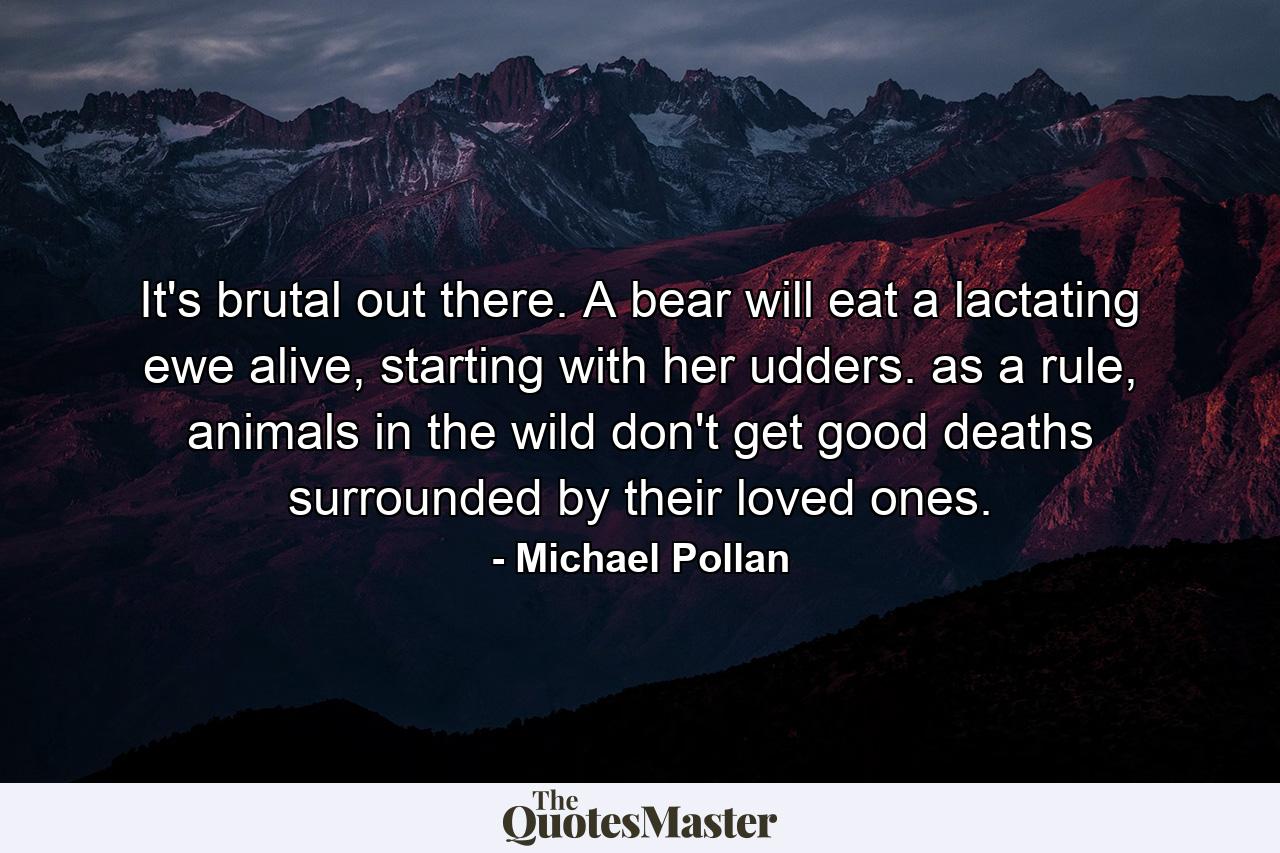 It's brutal out there. A bear will eat a lactating ewe alive, starting with her udders. as a rule, animals in the wild don't get good deaths surrounded by their loved ones. - Quote by Michael Pollan