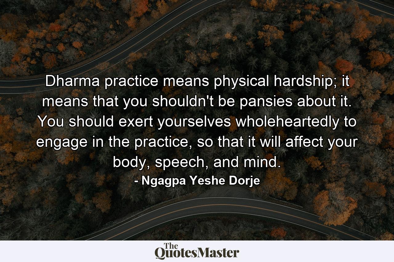 Dharma practice means physical hardship; it means that you shouldn't be pansies about it. You should exert yourselves wholeheartedly to engage in the practice, so that it will affect your body, speech, and mind. - Quote by Ngagpa Yeshe Dorje