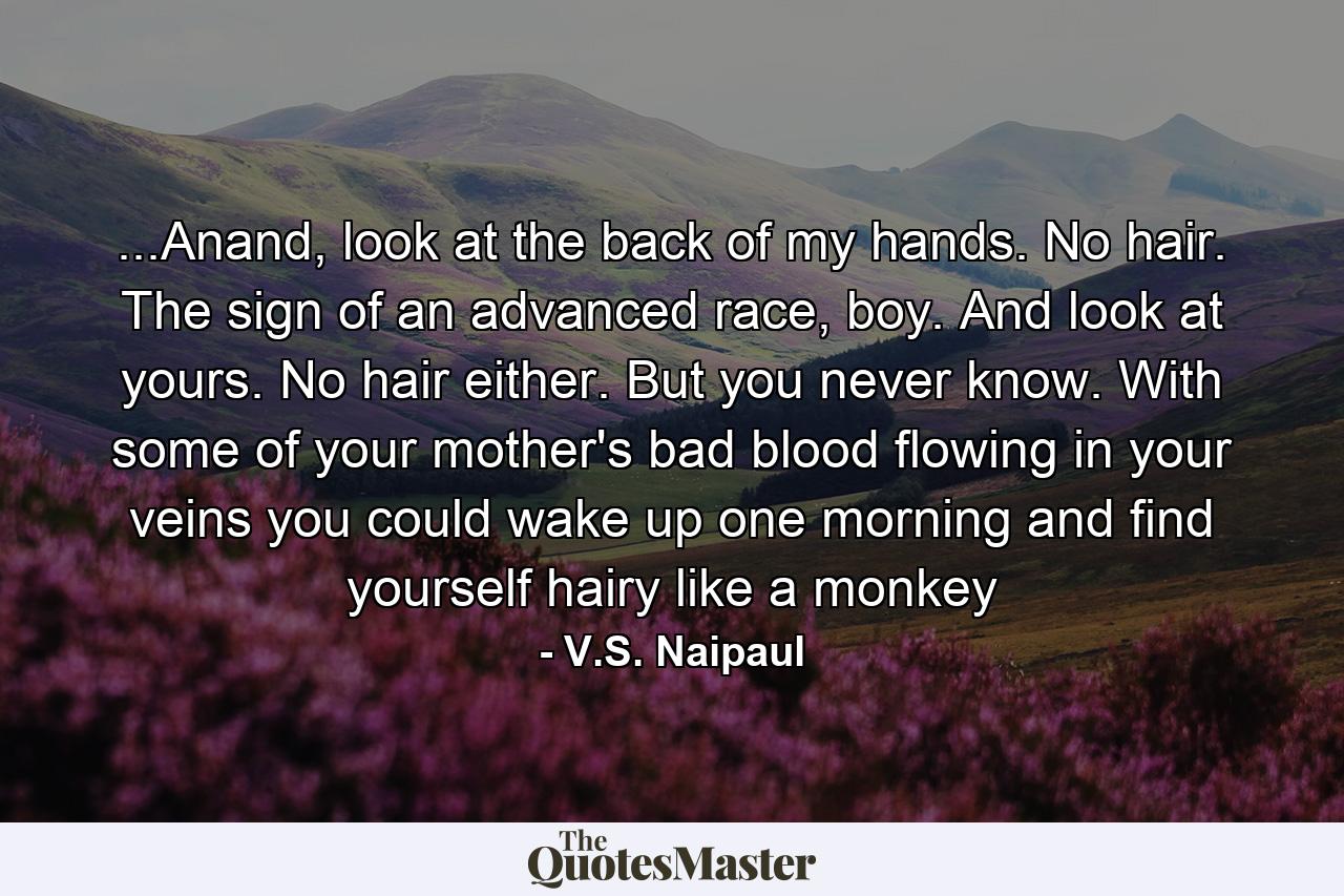 ...Anand, look at the back of my hands. No hair. The sign of an advanced race, boy. And look at yours. No hair either. But you never know. With some of your mother's bad blood flowing in your veins you could wake up one morning and find yourself hairy like a monkey - Quote by V.S. Naipaul