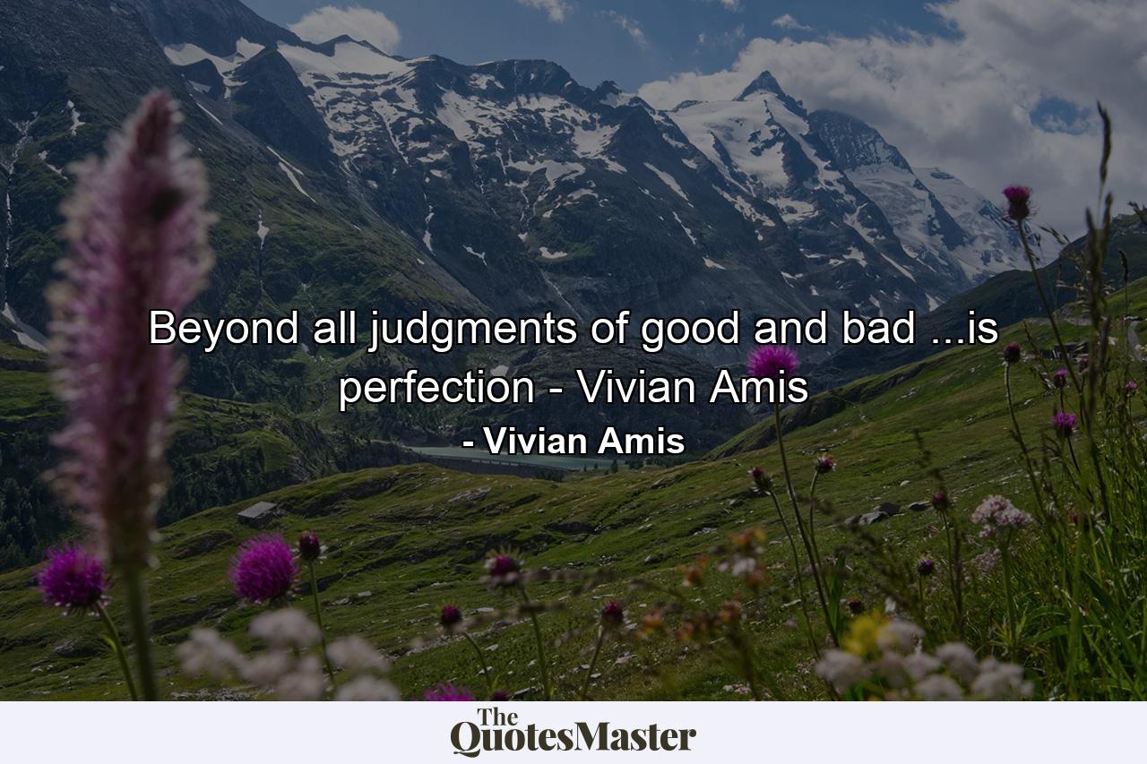 Beyond all judgments of good and bad ...is perfection - Vivian Amis - Quote by Vivian Amis