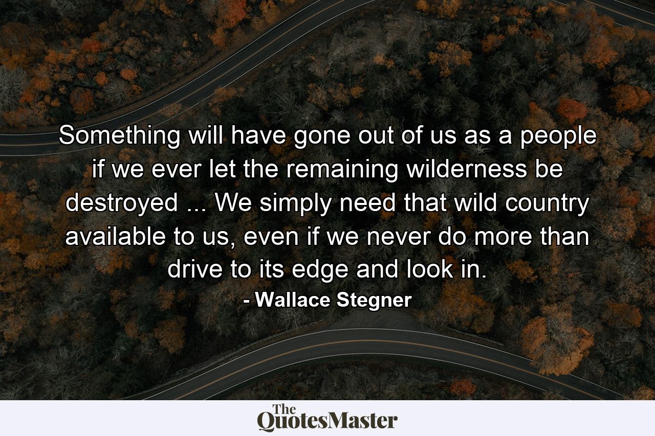 Something will have gone out of us as a people if we ever let the remaining wilderness be destroyed ... We simply need that wild country available to us, even if we never do more than drive to its edge and look in. - Quote by Wallace Stegner