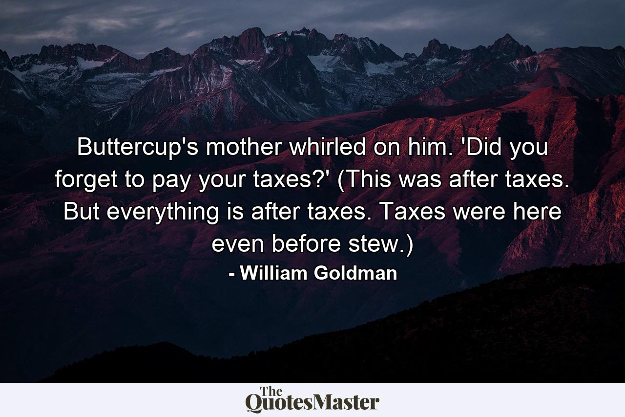 Buttercup's mother whirled on him. 'Did you forget to pay your taxes?' (This was after taxes. But everything is after taxes. Taxes were here even before stew.) - Quote by William Goldman