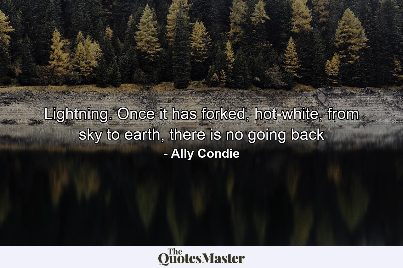 Lightning. Once it has forked, hot-white, from sky to earth, there is no going back - Quote by Ally Condie