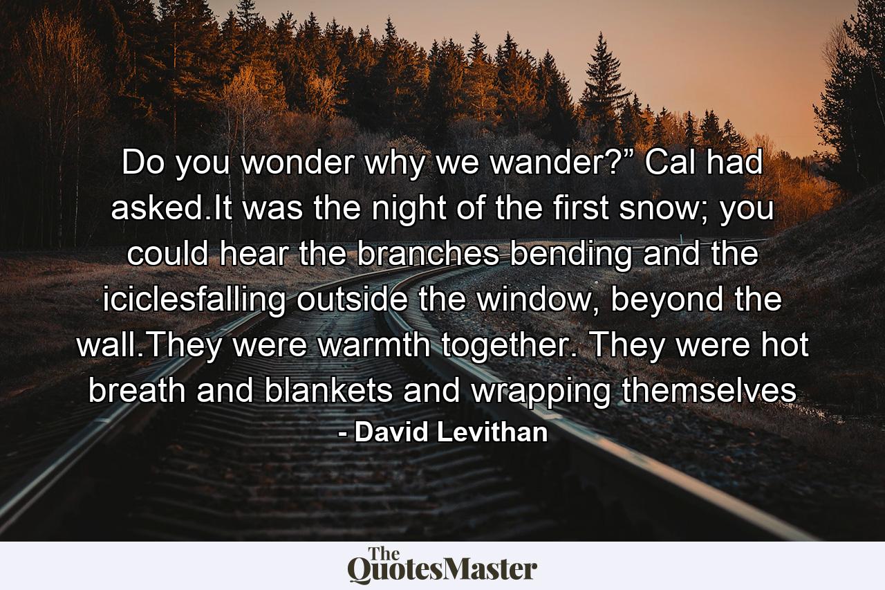 Do you wonder why we wander?” Cal had asked.It was the night of the first snow; you could hear the branches bending and the iciclesfalling outside the window, beyond the wall.They were warmth together. They were hot breath and blankets and wrapping themselves - Quote by David Levithan