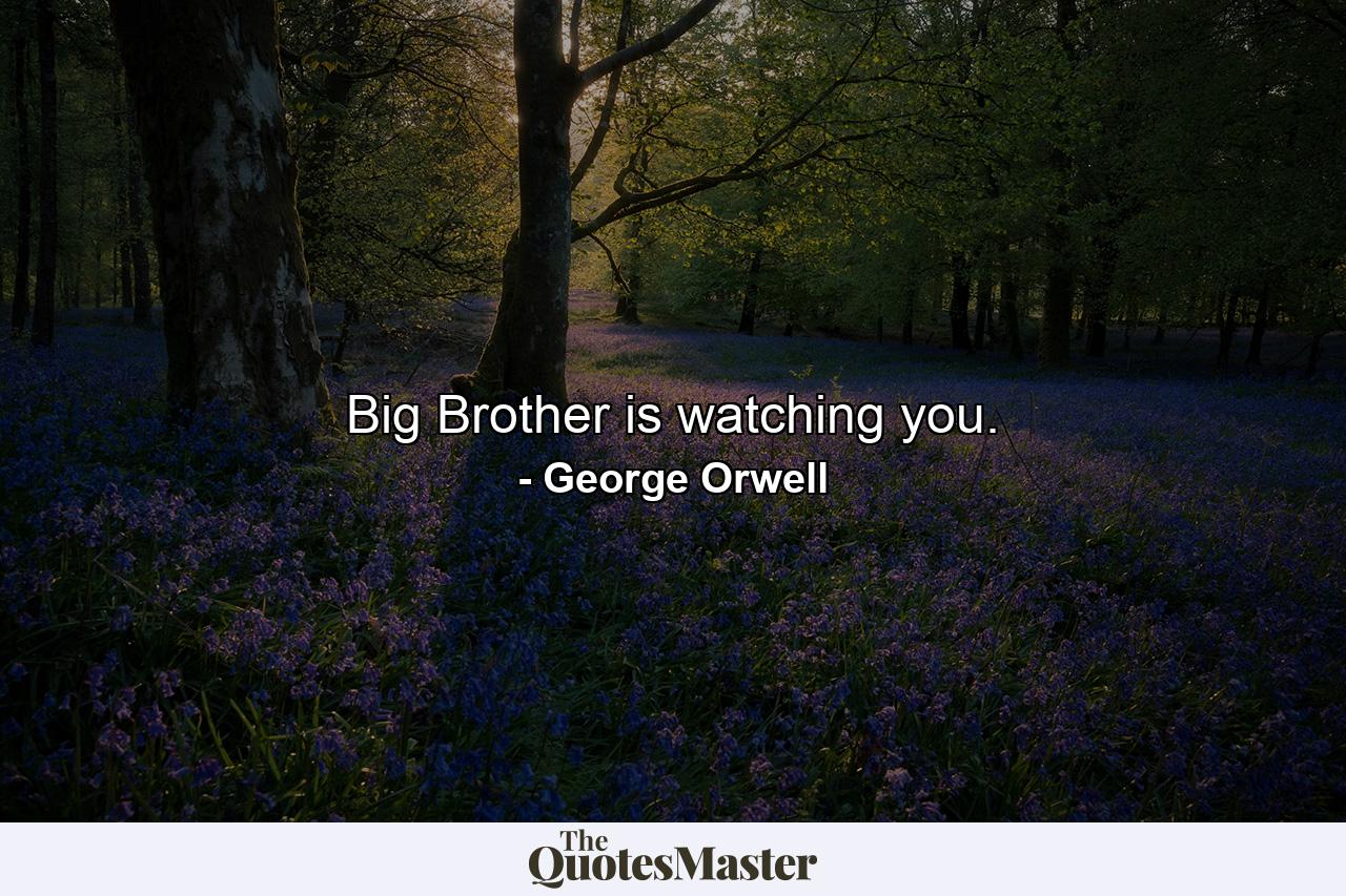 Big Brother is watching you. - Quote by George Orwell